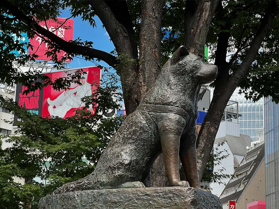 Hachiko Statue - What to See in Shibuya Travel Guide